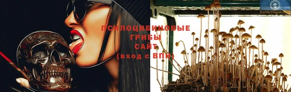 а пвп мука Белокуриха