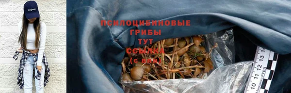 а пвп мука Белокуриха