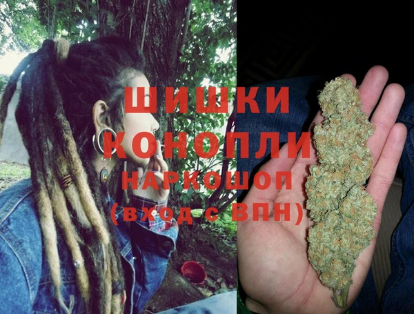 ПСИЛОЦИБИНОВЫЕ ГРИБЫ Белоозёрский