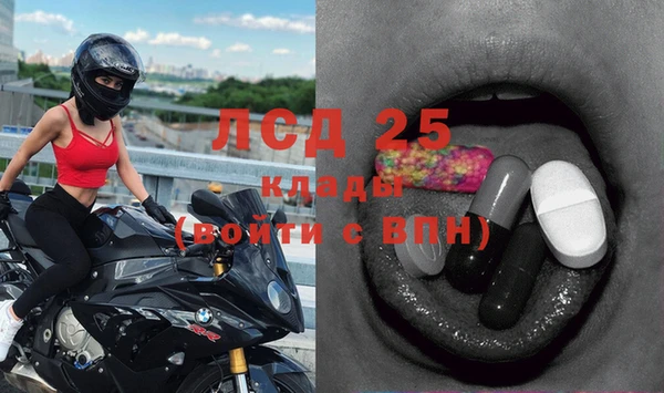 стафф Богородицк