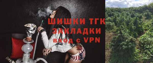 стафф Богородицк