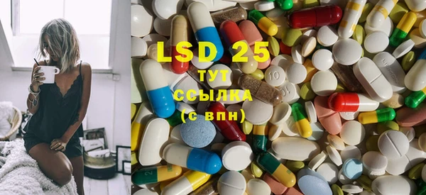 стафф Богородицк