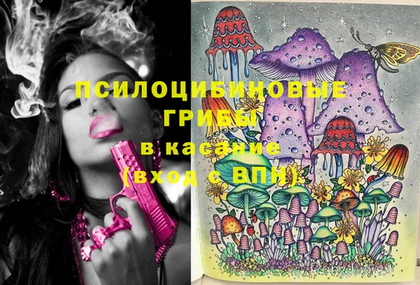 круглые Богданович