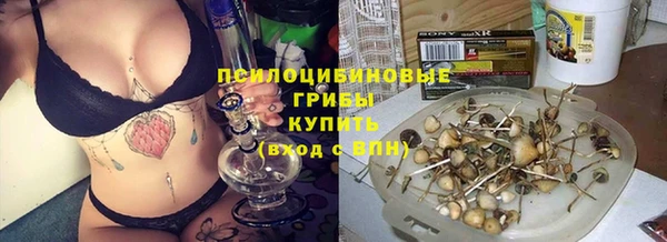круглые Богданович
