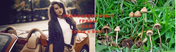 прущие крисы Богородск