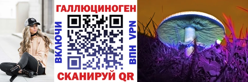 хочу наркоту Белый Псилоцибиновые грибы Psilocybe